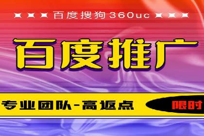 百度推广在电商行业的成功案例